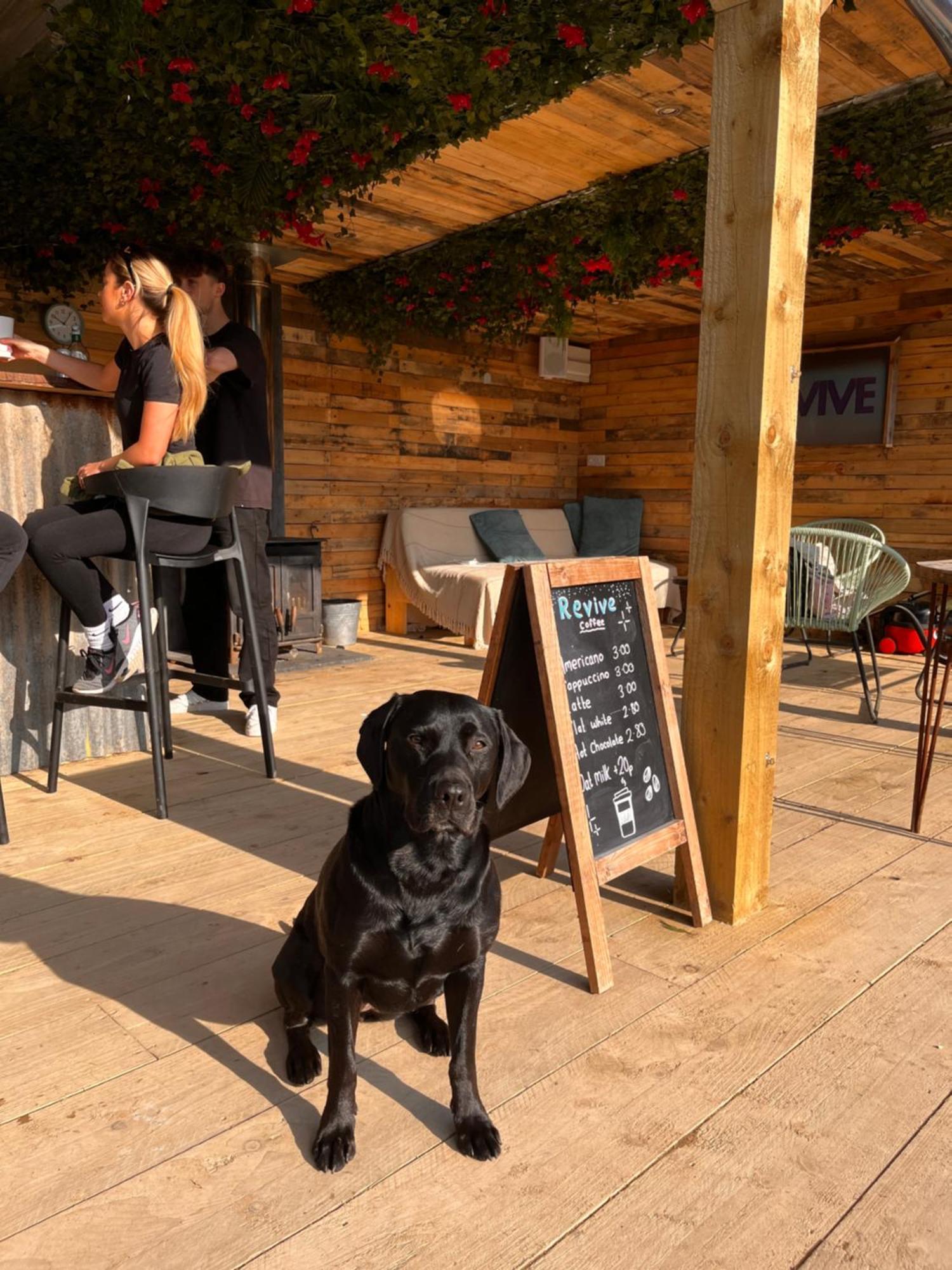 Rostrevor Mountain Lodge - Glamping Pods - Revive Sauna & Hot Tubs Exteriér fotografie